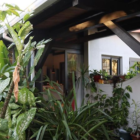 Luxury Cosy Guesthouse Pamplemousses Exteriér fotografie